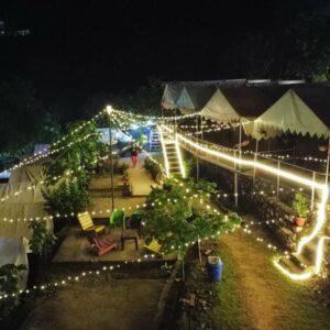 WhatsApp Image 2025-12-10 at 10.57.29 PM